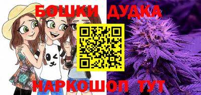 молекула духа Краснодар