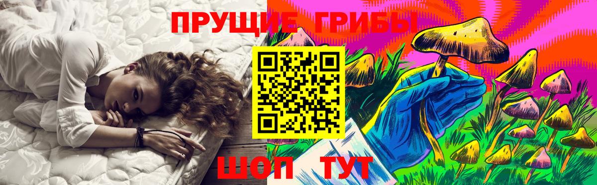 Галлюциногенные грибы Psilocybine cubensis  Псилоцибиновые грибы мухоморы  Ивантеевка  Вход с VPN 